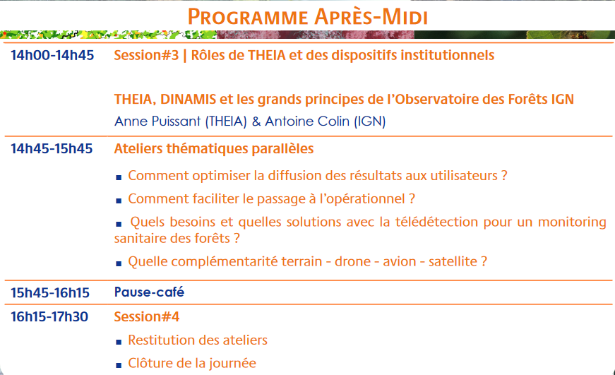 programme theia forets 