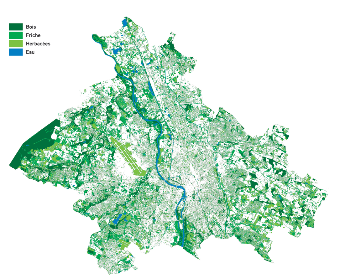 Carte de la sous-trame verte et bleue du territoire de Toulouse Métropole (Source : aua/T)