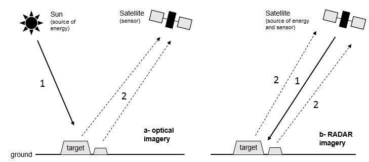 La différence entre les capteurs optiques et radar  (Source : Catry et al., 2018).